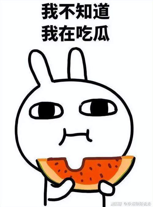 吃瓜牛笔姐,揭秘娱乐圈背后的那些事儿