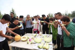 吃老汉瓜视频,揭秘农村生活的甜蜜滋味