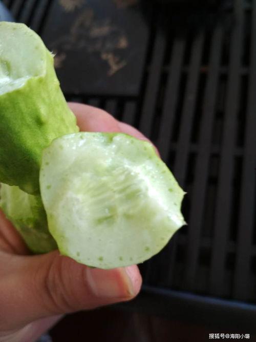 吃白玉瓜上火吗,上火还是养生佳品?